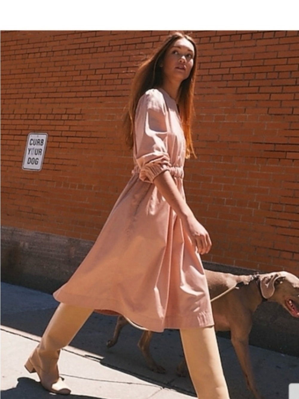 J. Crew Blush Pink Midi Dress with Cinched Wais